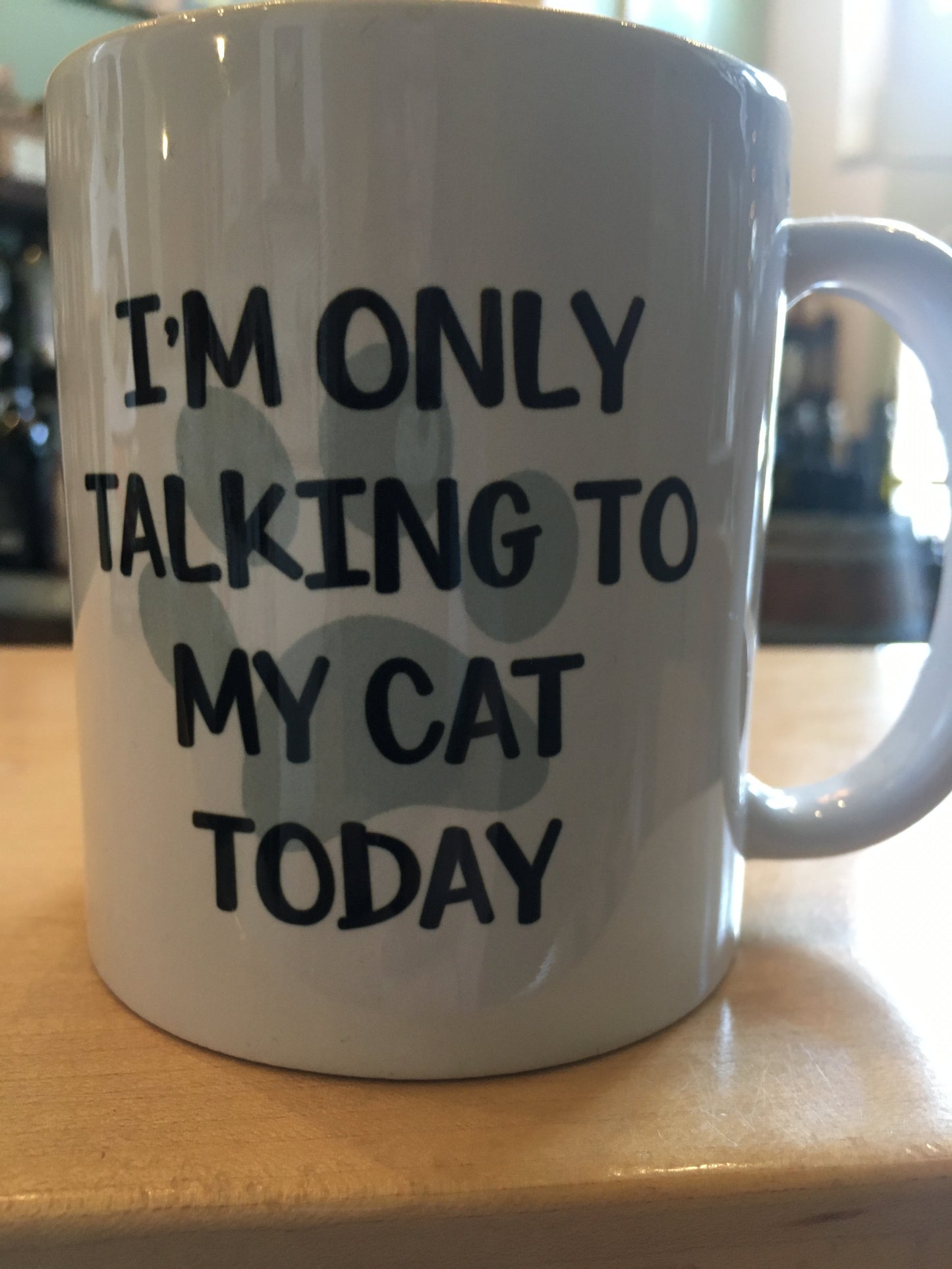 Only Talking to my Cat Today